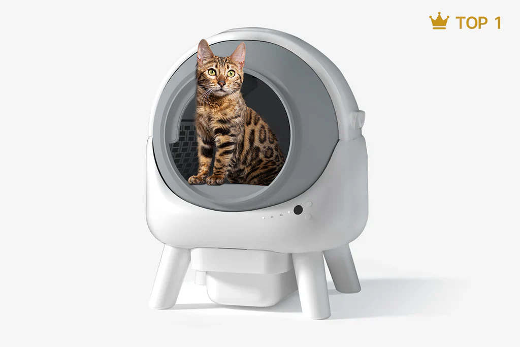 Clean Living for Happy Cats